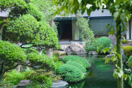 garden の写真素材