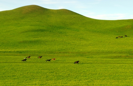 Beautiful summer landscape  の写真素材