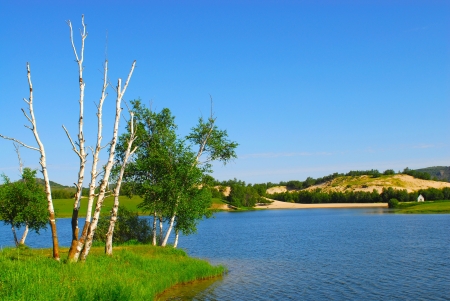 Trees and  riverの写真素材