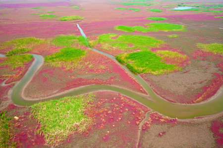  Aerial view of lush coastal wetlands 