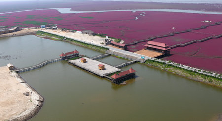Wood bridge on Wetlandの写真素材