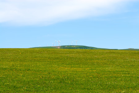 Beautiful summer landscapeの写真素材