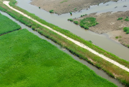 Aerial view of coastal wetlandsの写真素材