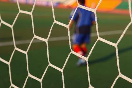 Soccer netting with grassの写真素材