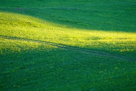 Beautiful summer landscape  の写真素材