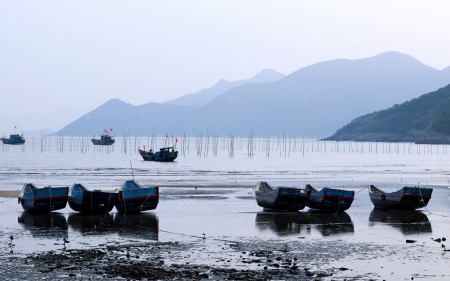 Ocean seaweed farm in Fujian province of China の写真素材