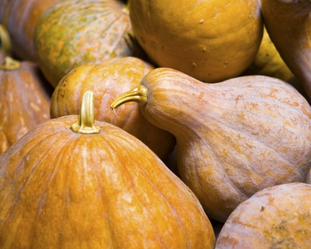 Pumpkinの写真素材