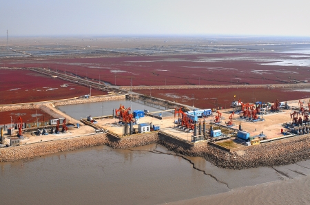 aerial view of oil pumps  Oil industry equipment のeditorial素材
