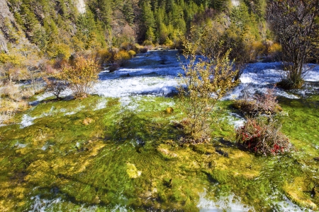 Colorful beautiful lake in autumn の写真素材
