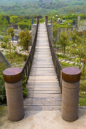 Wooden bridge の写真素材