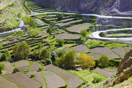 Terraced fieldsの写真素材