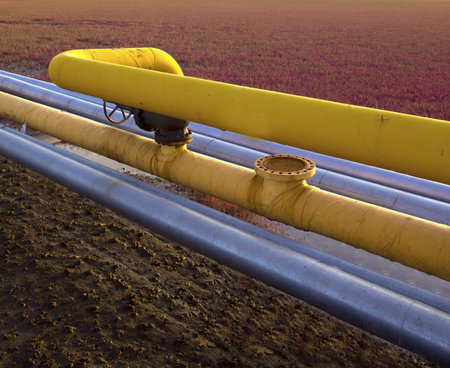 Red Beach on the oil pipeline