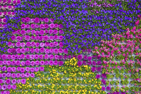 Flower Wall,Backgroundの写真素材