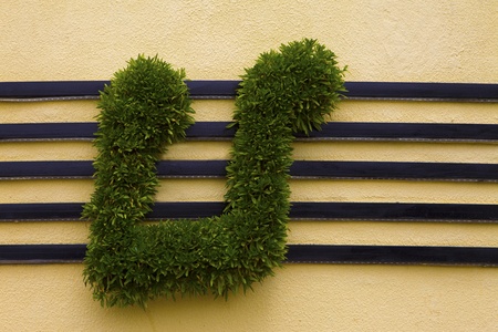 Music notes.の写真素材