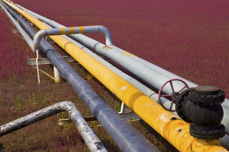 Pipelineの写真素材