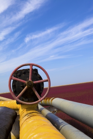 Pipelineの写真素材