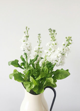 White flowers in a vase on a white background, stock photoの写真素材