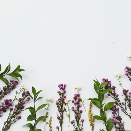 Flowers composition. Frame made of flowers on white background. Flat lay, top view, copy spaceの写真素材