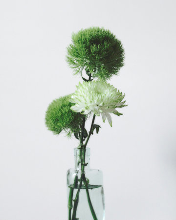 Bouquet of flowers in a glass vase on a white backgroundの写真素材