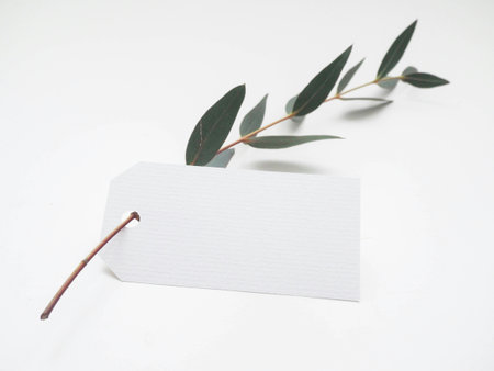 Eucalyptus leaves and blank label on white background.