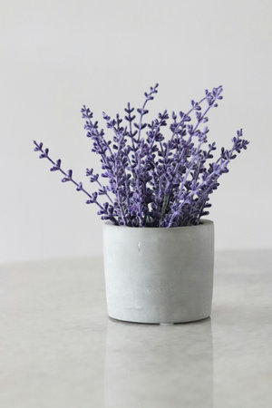 Lavender flowers in a vase on a white background.の写真素材