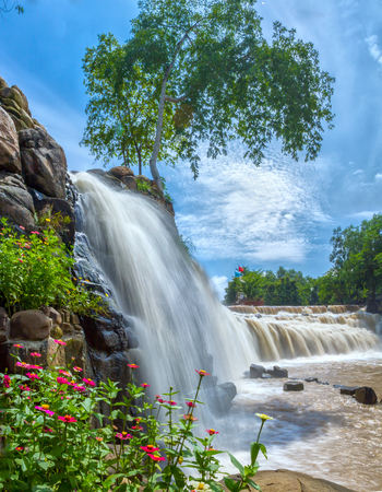 Da Han Falls, Dong Nai, Vietnam welcomed early sun shade with trees for water flowing down beside the deep carpet of fresh blooming daisy dawn Makes more vitality hereの写真素材