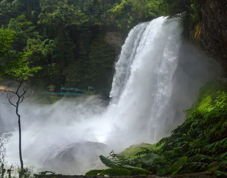 Dambri waterfall on summer days with over Seventy meters high pouring down with high valley fog created a bridge crossing beauty fades in conserving native forests khi flying in Lam Dong, Vietnamの写真素材