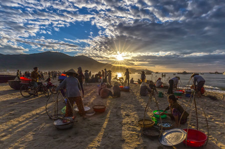 Da Nang, Vietnam, June 26, 2015: Market early fishing village buying Da nang khi ng??i busy selling fish, transport fish to Markets, sun rays radiating prepared very lively atmosphere, all living life in Da Nang, Vietnamのeditorial素材