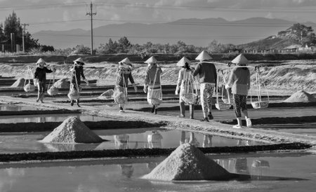 Khanh Hoa, Vietnam, June 30, 2015: Group of salt is salt in the salt Farmers bear on a summer afternoon pans Hon Khoi salt uh, Khanh Hoa, Vietnamのeditorial素材