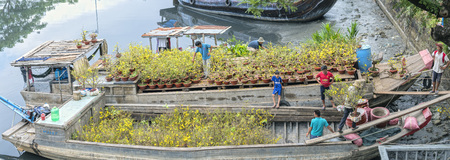 Ho Chi Minh City, Vietnam - January 26, 2017: Flowers at the flower market on canal wharf. This is place where farmers sell apricot blossom and other flowers on Lunar New Year in Vietnamのeditorial素材