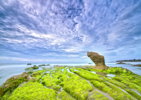 Stones covered with moss and seaweed welcomes dawn beautiful new dayの写真素材