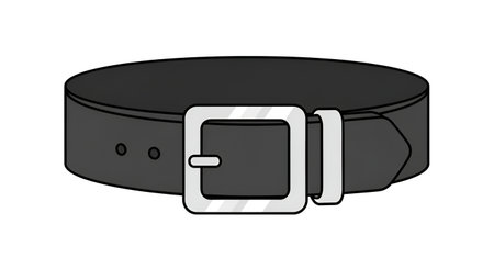 Shop stylish black leather belt with silver buckle for men and women fashion accessory online todayの素材