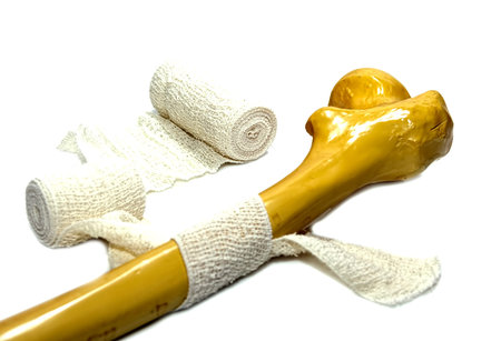 medical concept- study and researchの写真素材