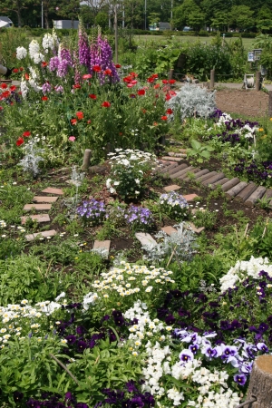 flower gardenの写真素材