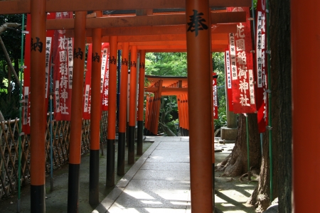 torii gatesのeditorial素材