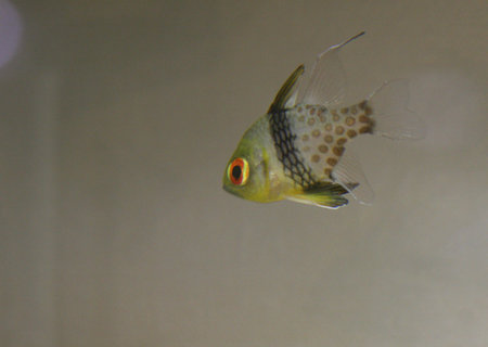 water world aquarium