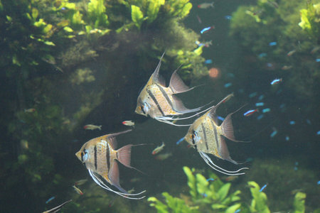 water world aquarium