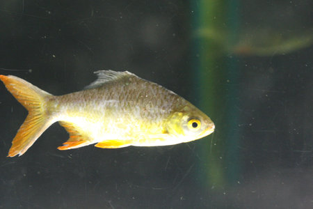 water world aquarium