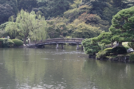 gardenの写真素材