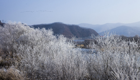 Morning scenery の写真素材