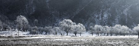 Hill scenery の写真素材