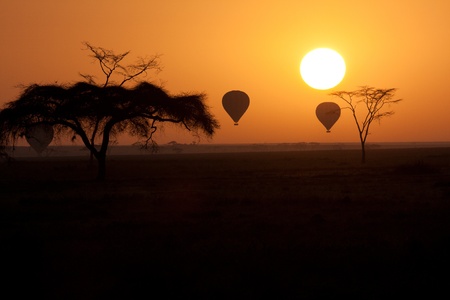 Hot Air Balloons flying over Serengeti Tanzania at sunrise.の写真素材