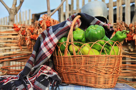 autumn vegetablesの写真素材