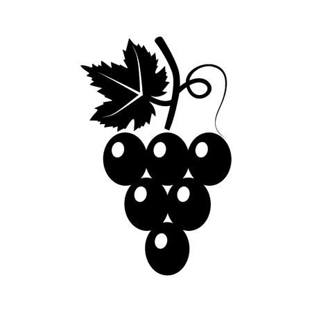Grapes silhouette black icon.の写真素材