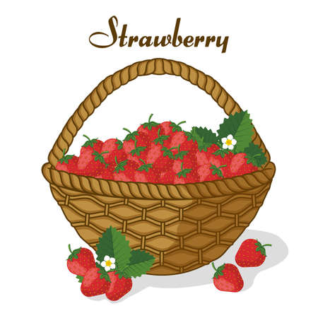 Basket of strawberries ripe juicy sweet berries.Template for menu or banner for healthy eating. Vector flat design. Landing page.のイラスト素材