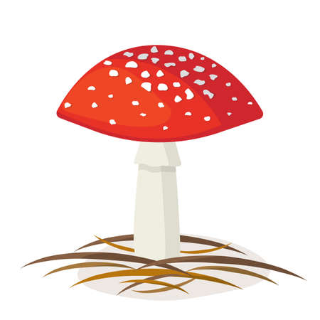 Amanita is an inedible poisonous mushroom. Toadstool red hat with white spots on a white background. Vector illustration.のイラスト素材