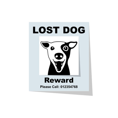 Lost dog. Reward for the find. Missing posterのイラスト素材