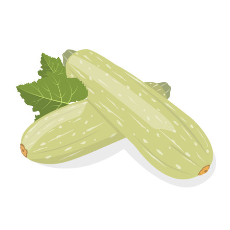 Organic natural healthy vegetable. Natural product. Diet menu. Vector illustration.のイラスト素材