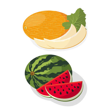 Melon and watermelon cartoon design. Template for menu or banner for healthy eating. Vector flat style. Pieces of red watermelon and yellow melon. Natural products of summer.のイラスト素材