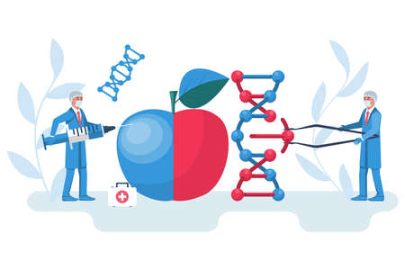 Changing DNA concept. Manipulation DNA. Synthesis process. The doctors team edits organic food molecules. Laboratory research. Vector illustration flat design. Isolated on white background.のイラスト素材